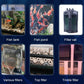🐟🐠Tapis de Filtration Professionnel pour Aquarium Offre Spéciale à 49% de Réduction