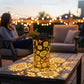 🥳 PROMO 2026 – 50 000+ VENDUES ! 🌼-50 % sur la lanterne solaire tournesol : lumière chaleureuse, découpes florales, étanche IP55. Parfaite pour le jardin et en cadeau ! 🎁💛
