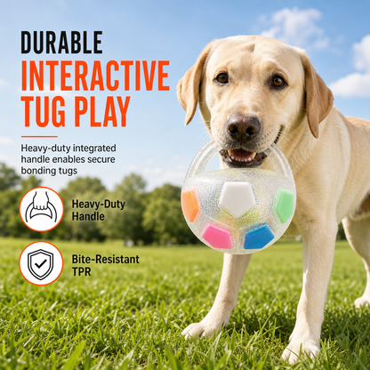 📢📢50% DE RÉDUCTION !! ⏰Ballon de Football Interactif pour Chien avec Languettes de Prise