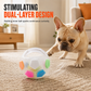 📢📢50% DE RÉDUCTION !! ⏰Ballon de Football Interactif pour Chien avec Languettes de Prise