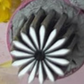 💅50 % DE RÉDUCTION🌸 Kit d’outils d’estampage métallique pour nail art, tampons motifs floraux réutilisables, manucure DIY salon (6/10/15 pièces)